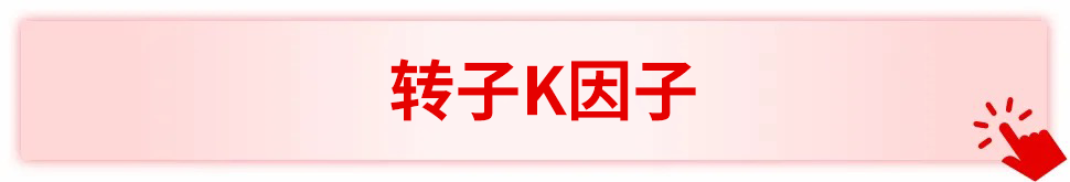 開學新搭子已就位！小貝帶你逆襲成‘離心大師’～